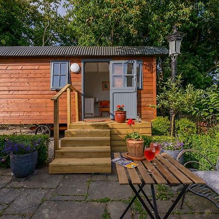 Hawthorn Hut Kilkenny Glamping At Jenkinstown House Hotel Jenkinstown Park Exterior photo