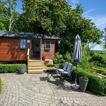 Hawthorn Hut Kilkenny Glamping At Jenkinstown House Hotel Jenkinstown Park Exterior photo
