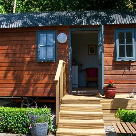 Hawthorn Hut Kilkenny Glamping At Jenkinstown House Hotel Jenkinstown Park Exterior photo